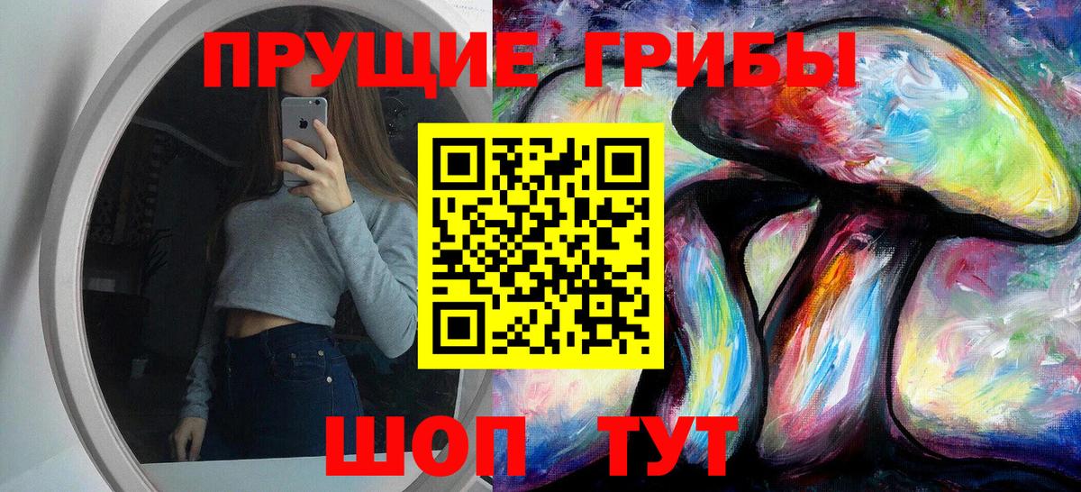 Псилоцибиновые грибы Cubensis Альметьевск